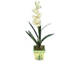 Özel Yapay Orkide Beyaz   Ankara online çiçekçi , çiçek siparişi 