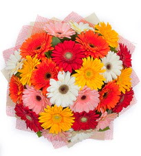 15 adet renkli gerbera buketi  Ankara yurtiçi ve yurtdışı çiçek siparişi 