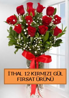 İthal kırmızı 12 adet kaliteli gül  Ankara ucuz çiçek gönder 