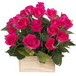 12 adet pembe güllerden sepet tanzimi  Ankara yurtiçi ve yurtdışı çiçek siparişi 