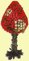  Ankara çiçek gönderme  dügün açilis çiçekleri  Ankara çiçek online çiçek siparişi 