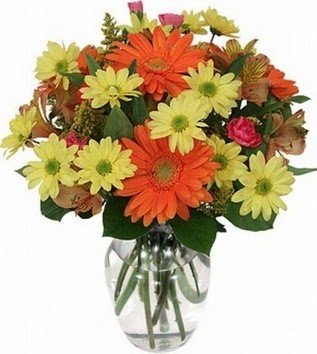  Ankara hediye sevgilime hediye çiçek  vazo içerisinde karışık mevsim çiçekleri