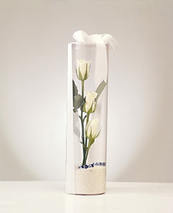  Ankara çiçek gönderme  Nazar boncuklu 3 beyaz gül