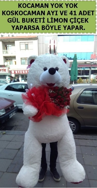 Koskocaman beyaz ayı ve 25 adet gül  Ankara çiçek siparişi sitesi 