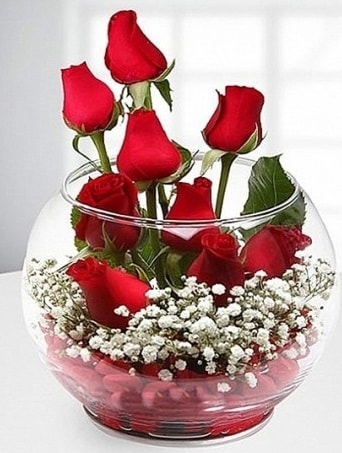 Kırmızı Mutluluk fanusta 9 kırmızı gül  Ankara çiçek siparişi sitesi 