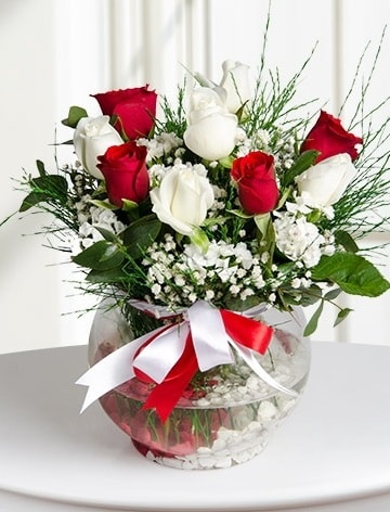 Aşk Küresi  5 beyaz 5 kırmızı gül fanusta  Ankara internetten çiçek satışı 