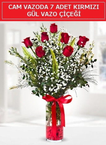 Cam vazoda 7 adet kırmızı gül çiçeği  Ankara çiçek gönderme sitemiz güvenlidir 