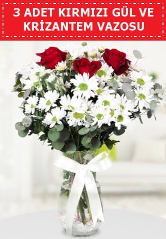 3 kırmızı gül ve camda krizantem çiçekleri  Ankara çiçek gönderme 