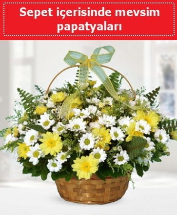 Sepet içerisinde mevsim papatyaları  Ankara ucuz çiçek gönder 